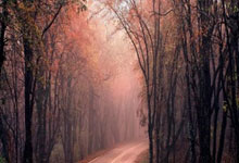 哈萨克斯坦球队闻风而动，迎战势在必得