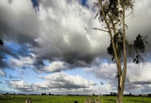 热门体育盛事引发球迷热议，谁将夺得胜利？