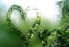 尤文图斯大胜：拜仁慕尼黑吞败