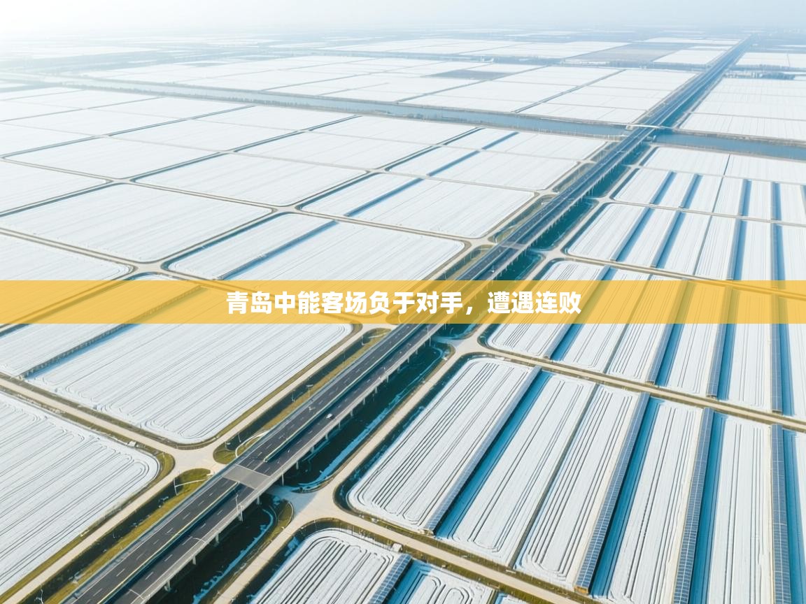 青岛中能客场负于对手，遭遇连败  第2张